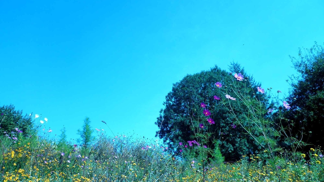 Photo of Outdoor in Vernoux-en-Gatine