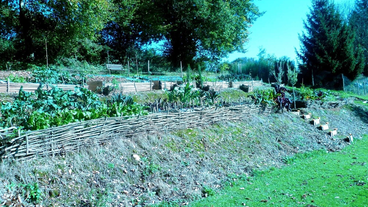 Photo of Outdoor in Vernoux-en-Gatine