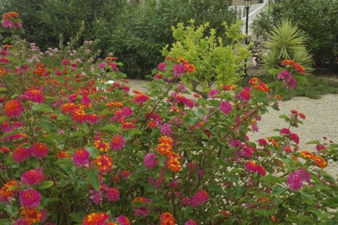 Photo of Outdoor in Campos del Rio