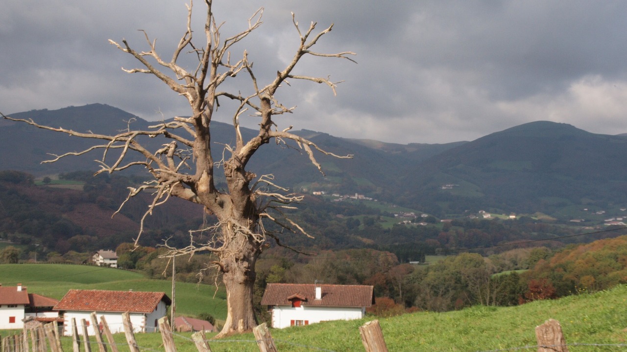 Photo of Outdoor in Baztan