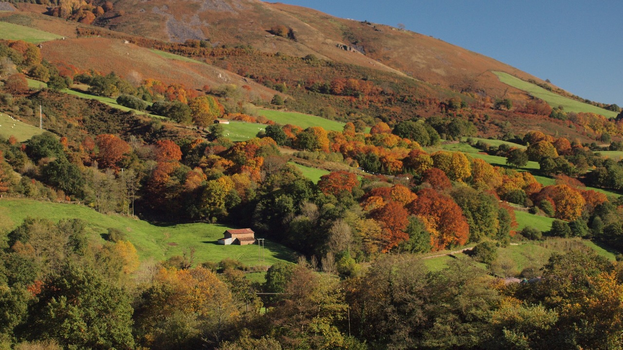 Photo of Outdoor in Baztan