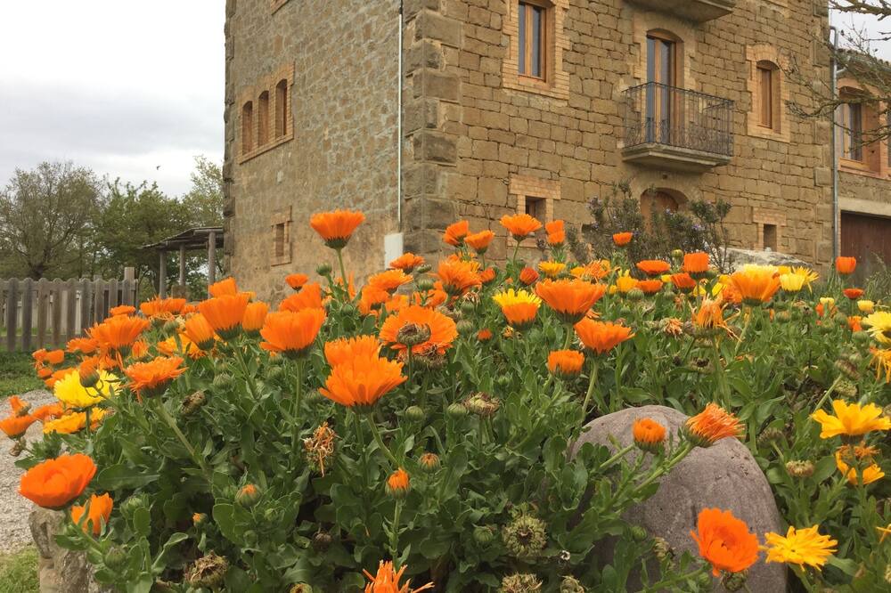 Photo of Outdoor in Llobera