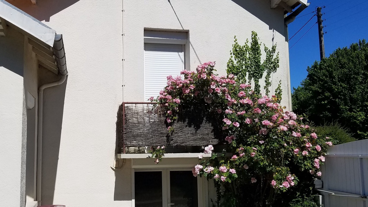 Photo of Outdoor in Vivonne