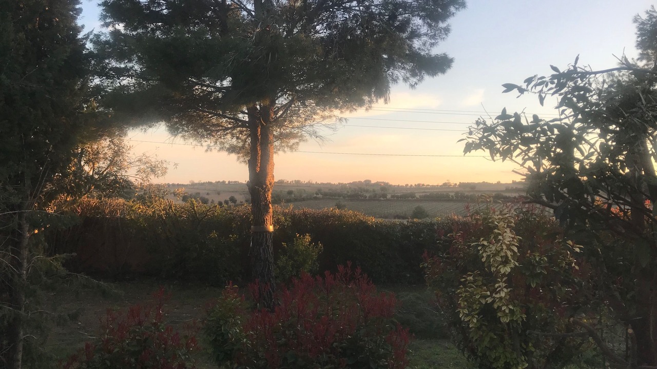 Photo of Outdoor in Saint-Drezery