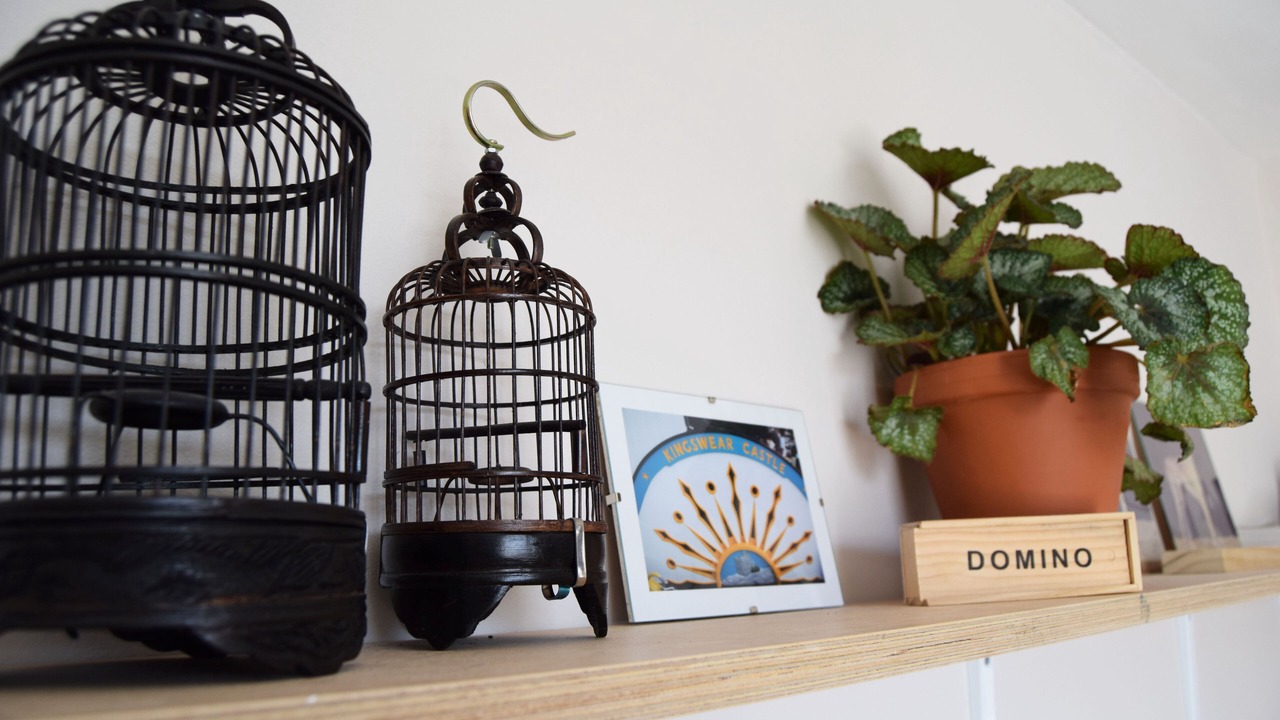 Photo of Others in Ramsgate