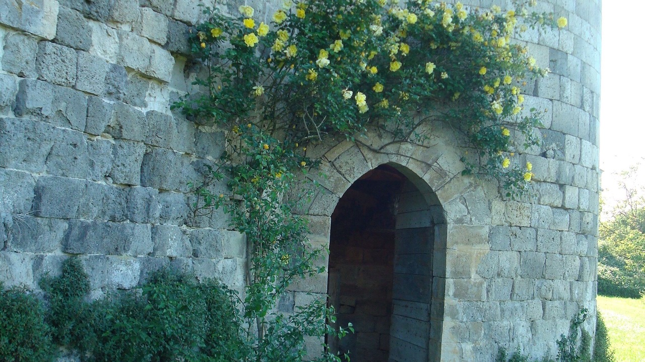 Photo of Others in Frechou