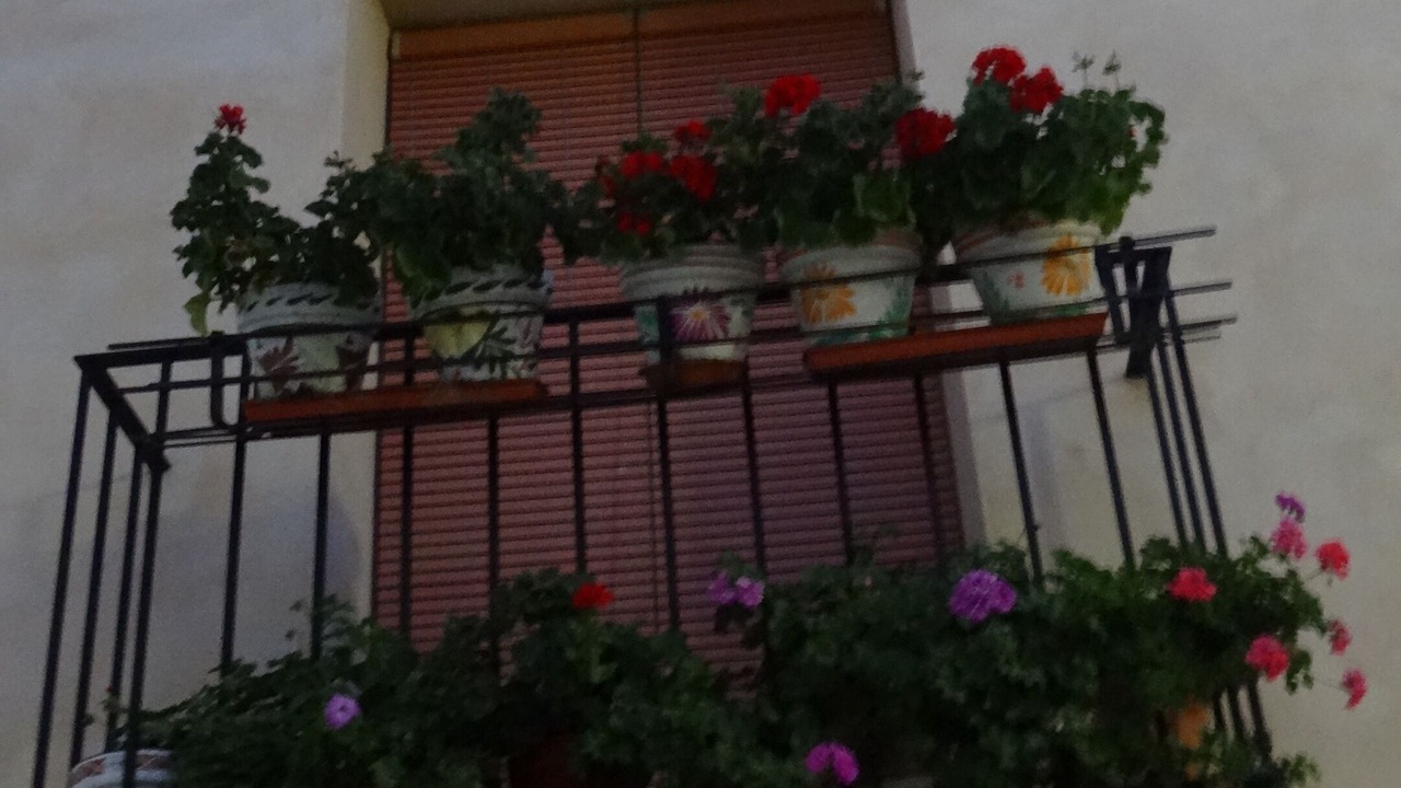 Photo of Outdoor in Requena
