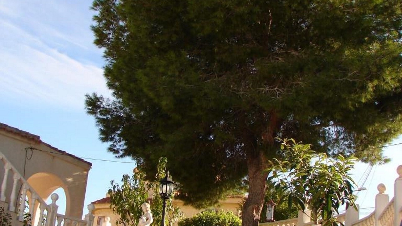 Photo of Outdoor in San Miguel de Salinas