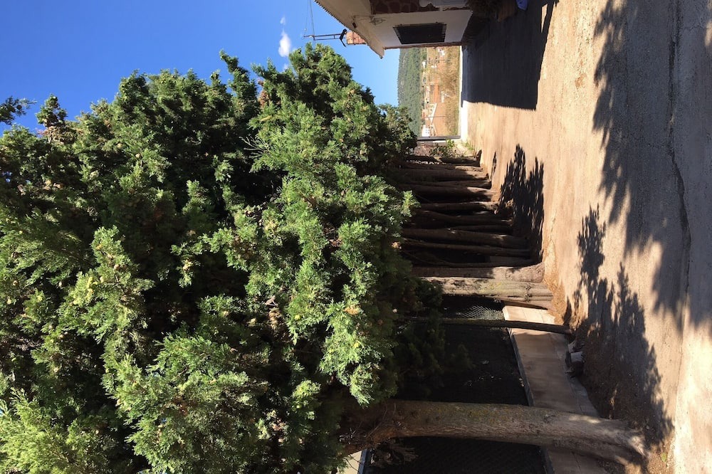 Photo of Outdoor in Talayuelas