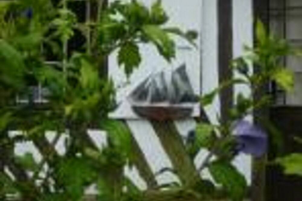 Photo of Outdoor in Ablon