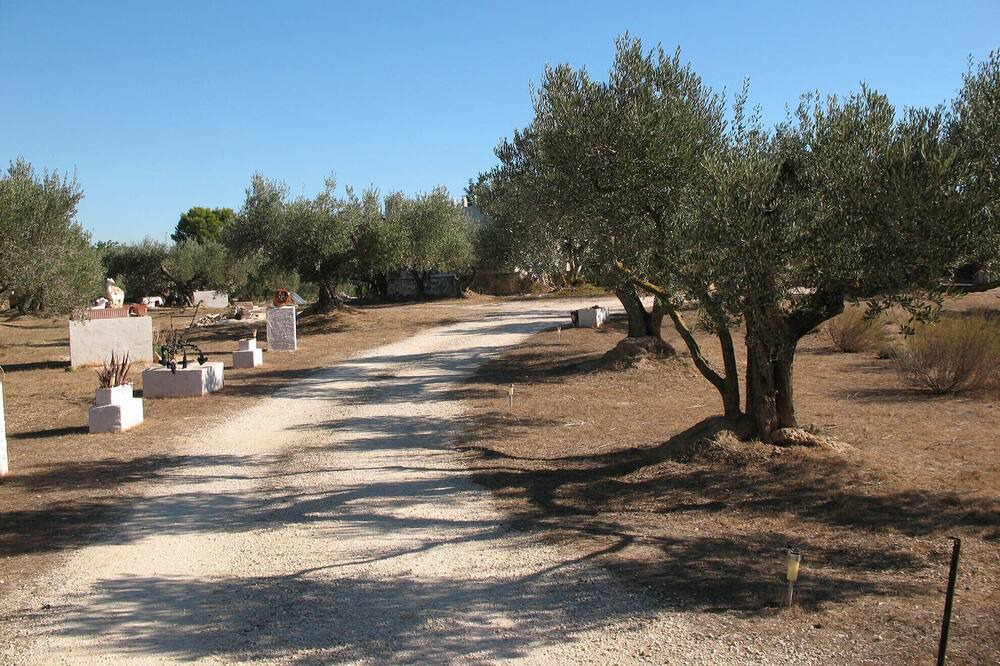 Photo of Outdoor in L'Aldea