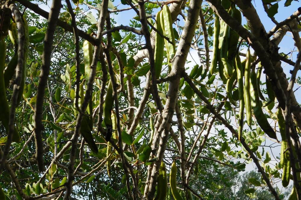 Photo of Outdoor in L'Aldea