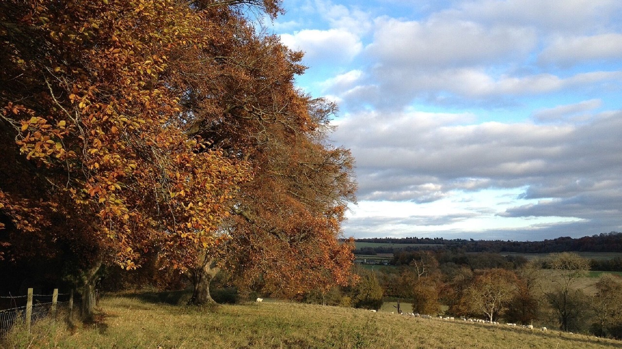Photo of Outdoor in West Marden
