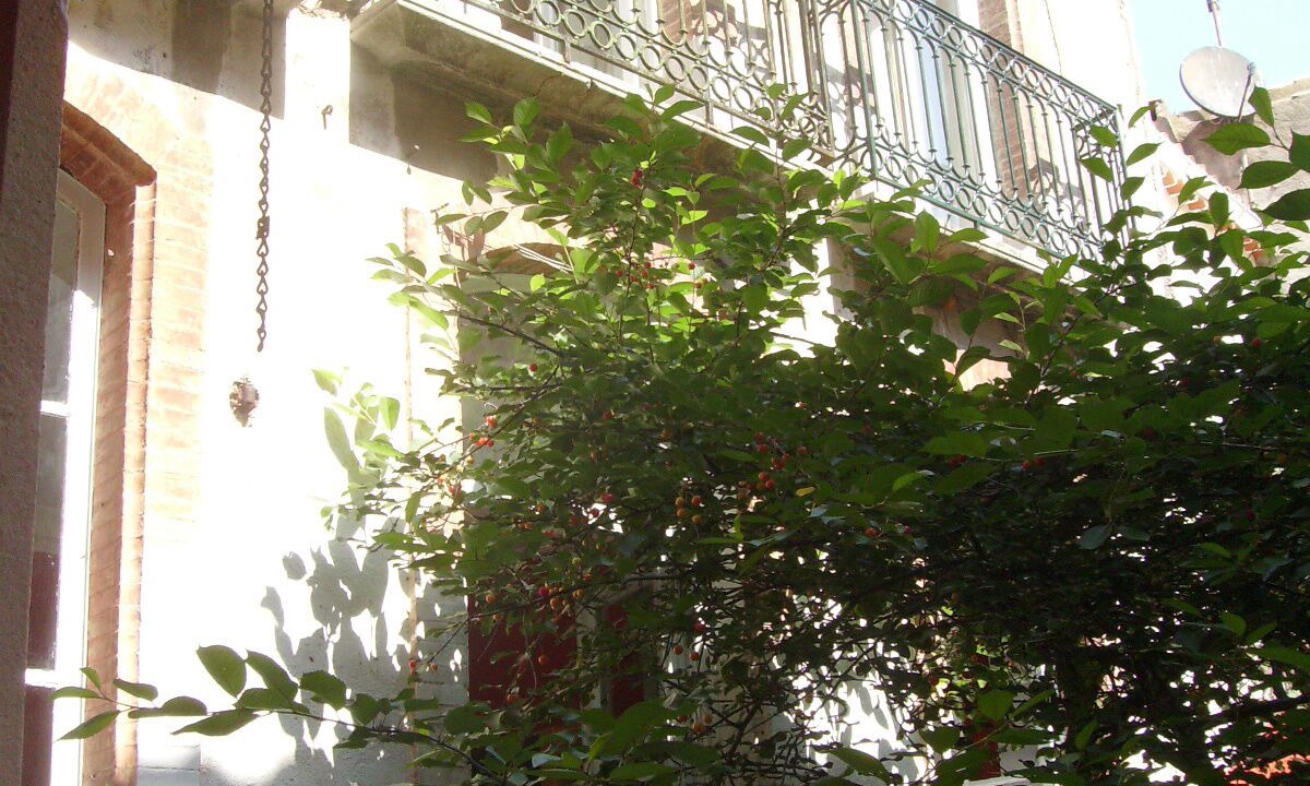 Photo of Outdoor in La Palme