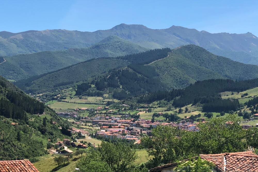 Photo of Others in Mieses