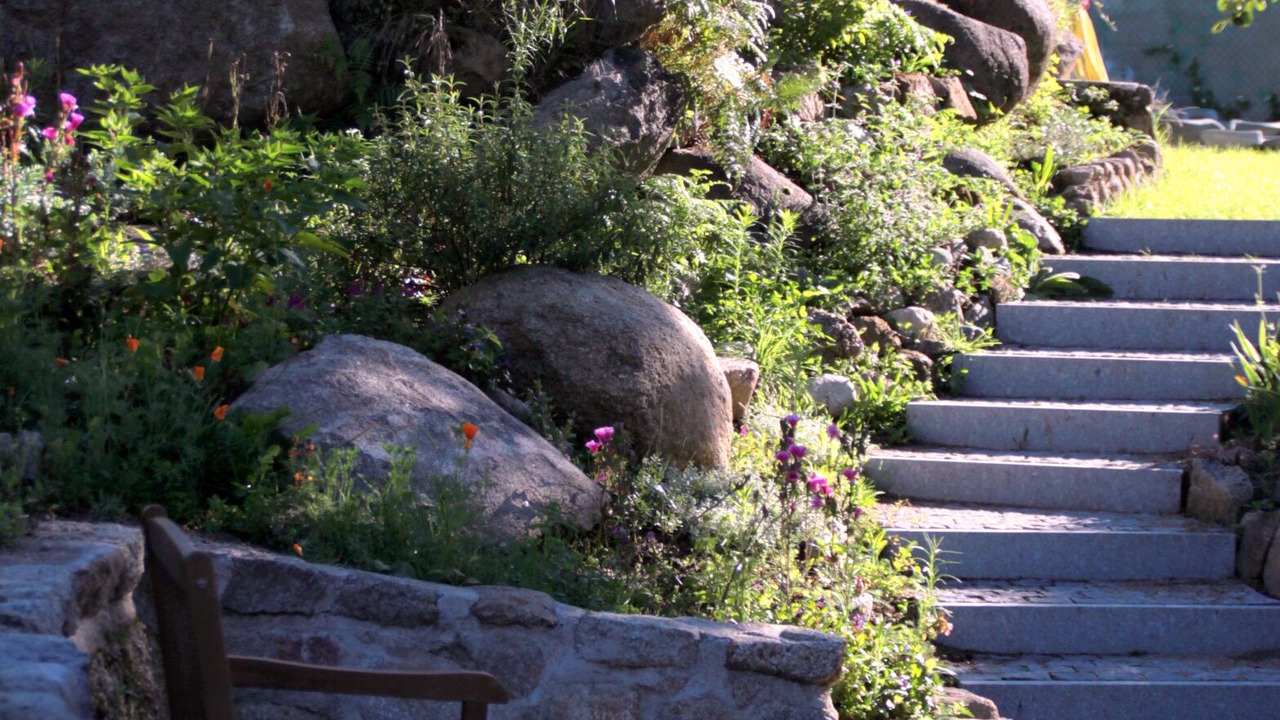 Photo of Outdoor in Corsavy