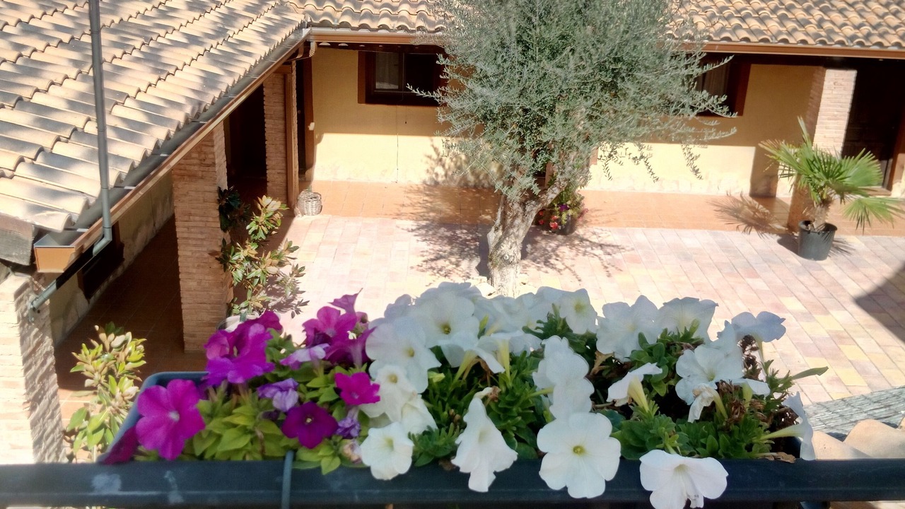 Photo of Outdoor in Rubielos Bajos