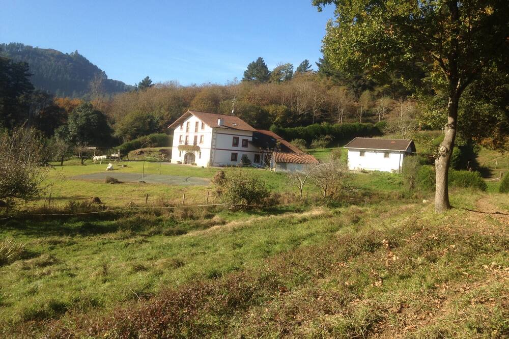Photo of Others in Forua