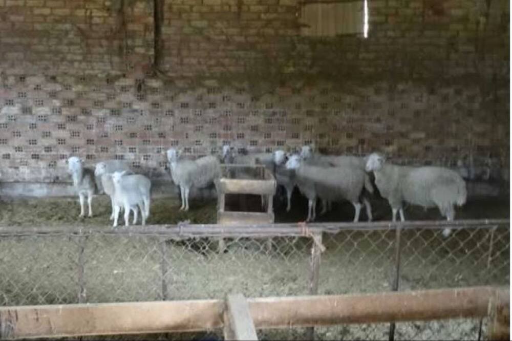 Photo of Others in Montcortes