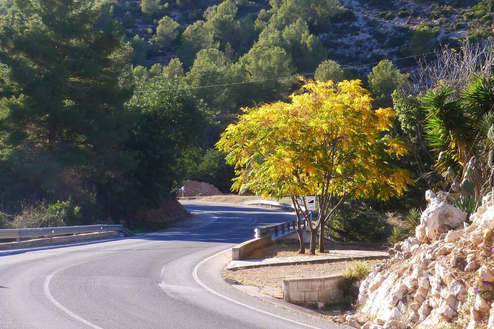 Photo of Outdoor in Jalon