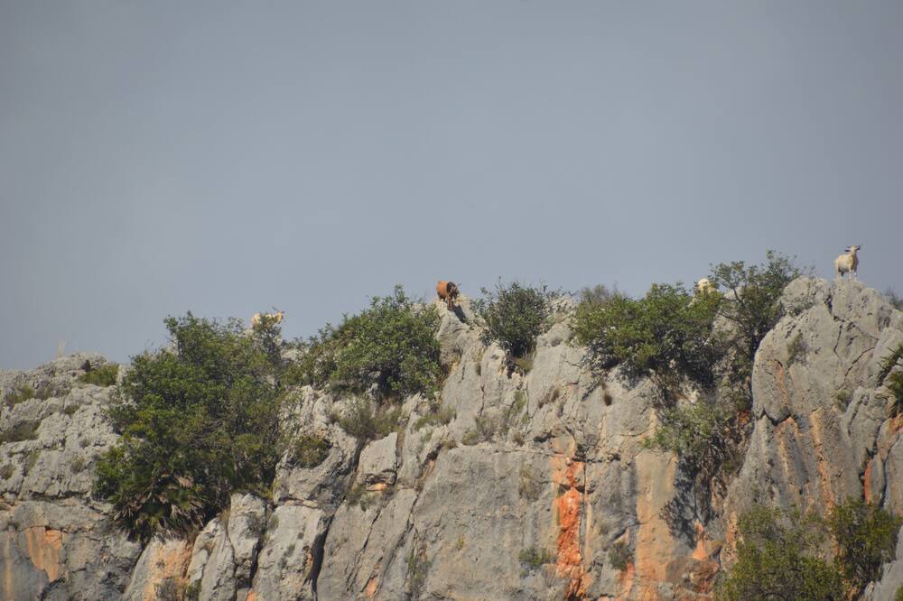 Photo of Outdoor in Jalon