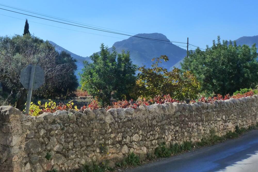 Photo of Outdoor in Jalon