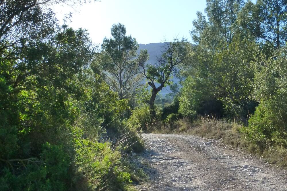 Photo of Outdoor in Jalon