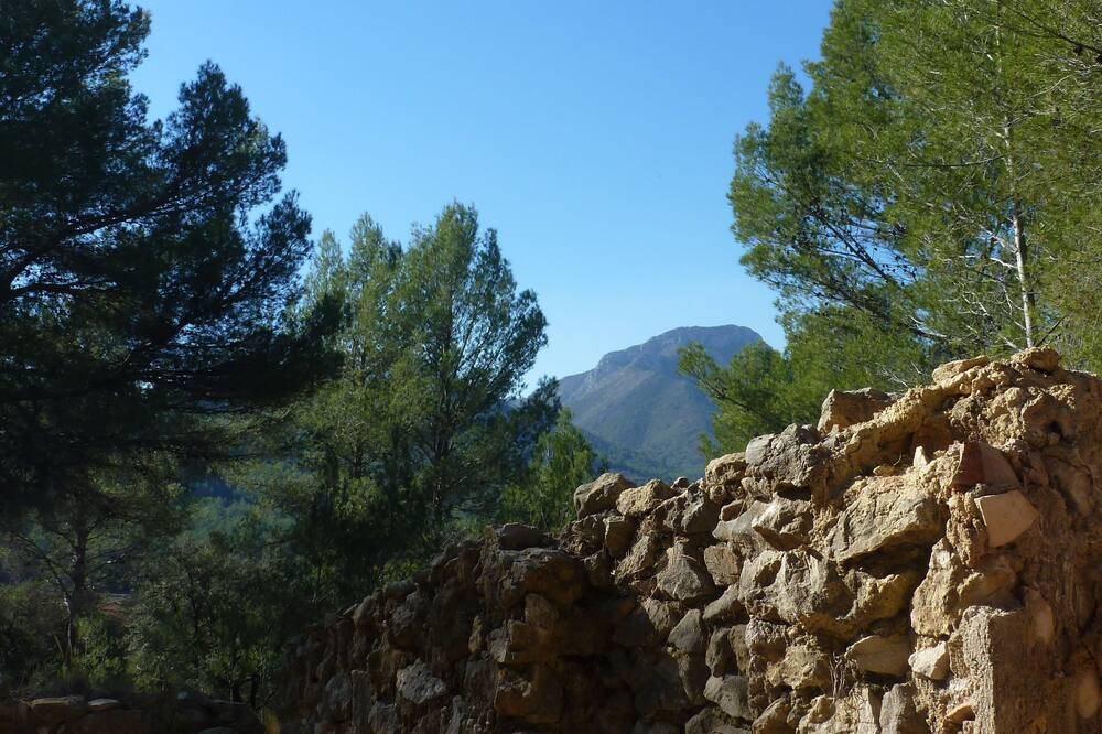 Photo of Outdoor in Jalon