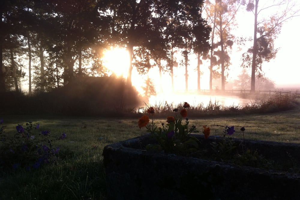 Photo of Outdoor in Pipriac