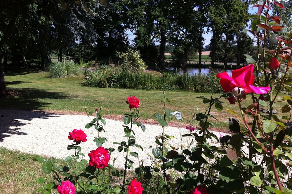 Photo of Outdoor in Pipriac