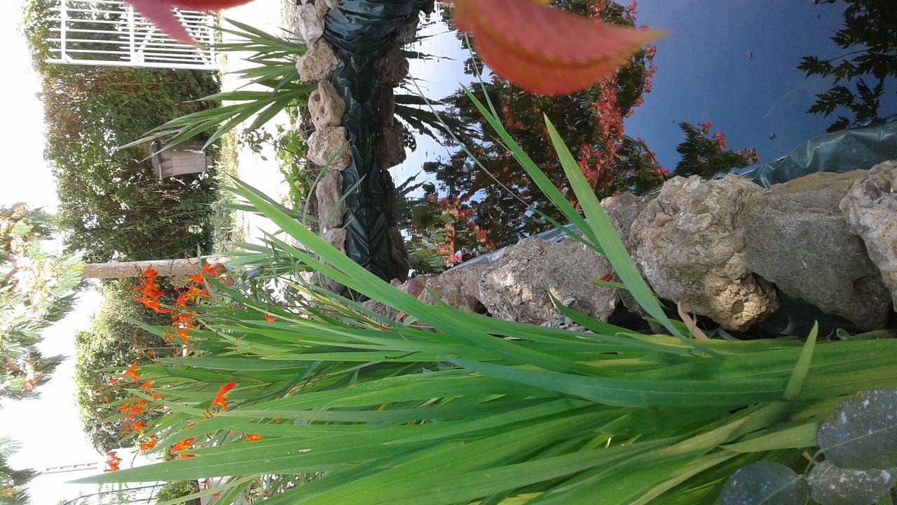 Photo of Outdoor in Benais