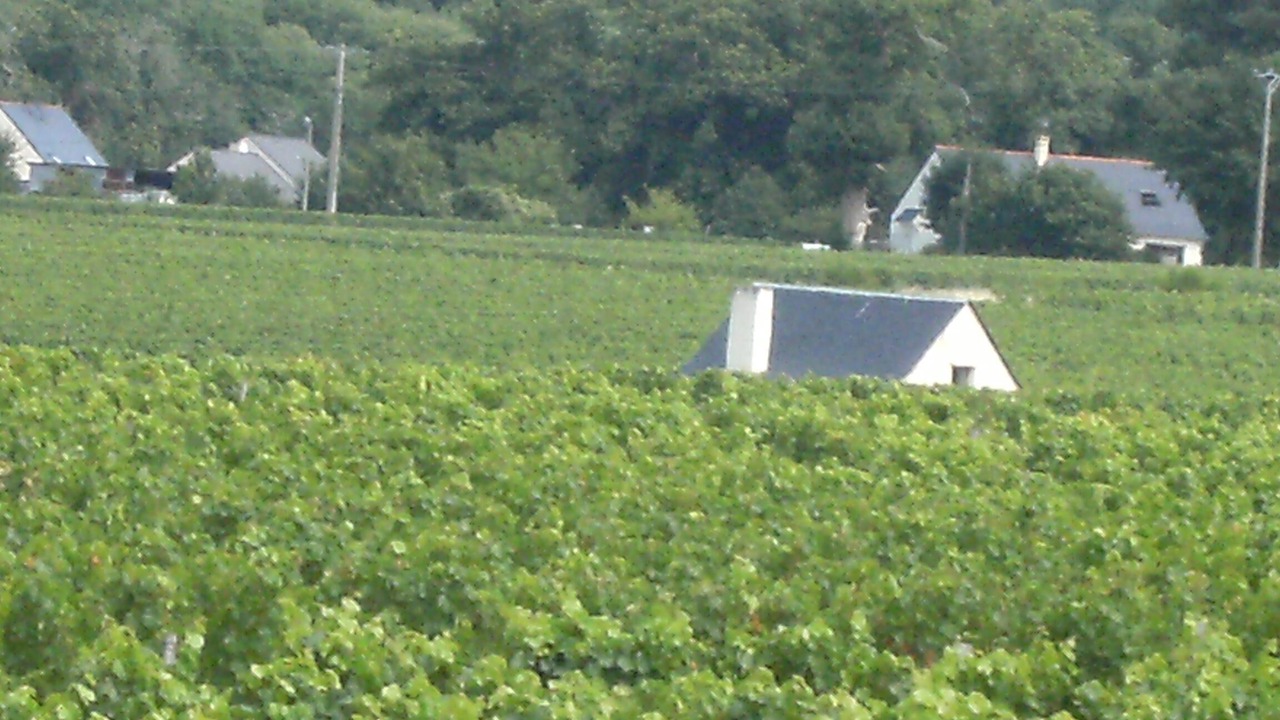 Photo of Outdoor in Benais
