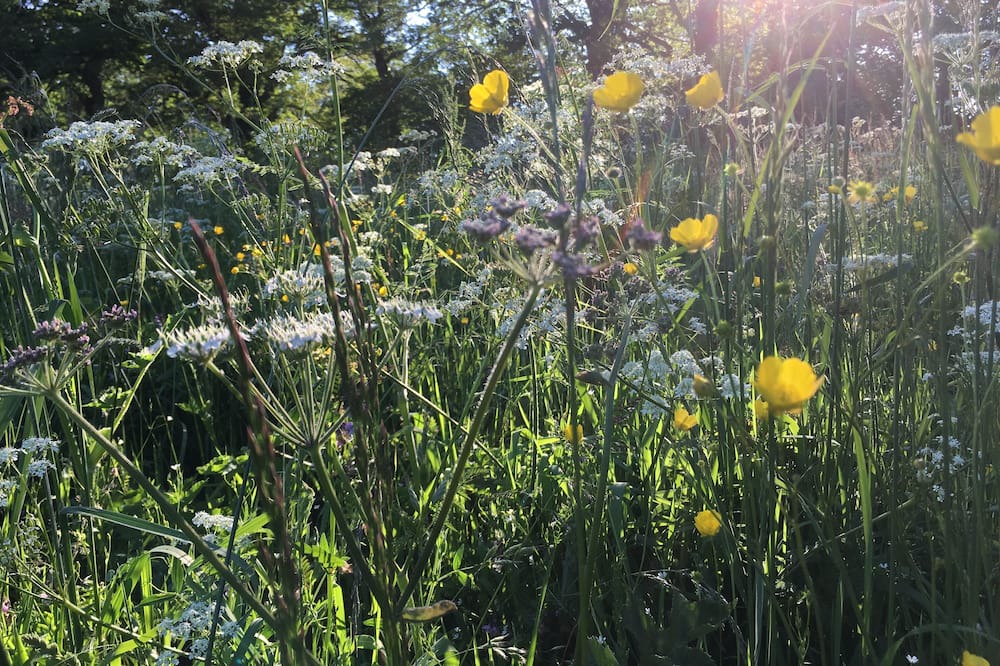 Photo of Outdoor in Auzances
