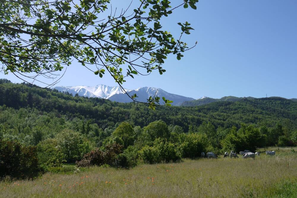 Photo of Outdoor in Fuilla