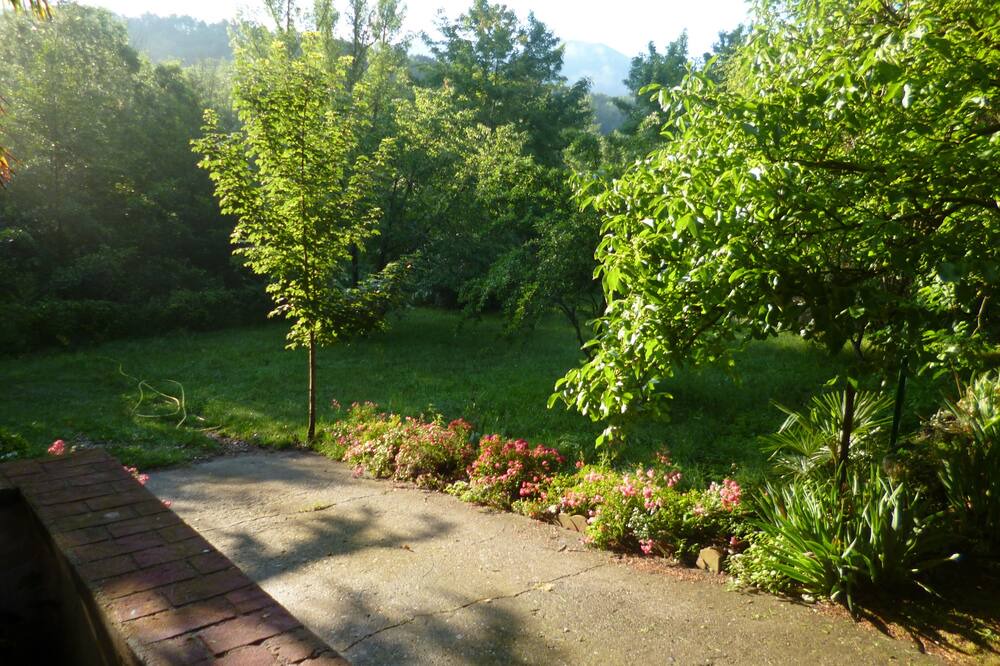 Photo of Outdoor in Fuilla