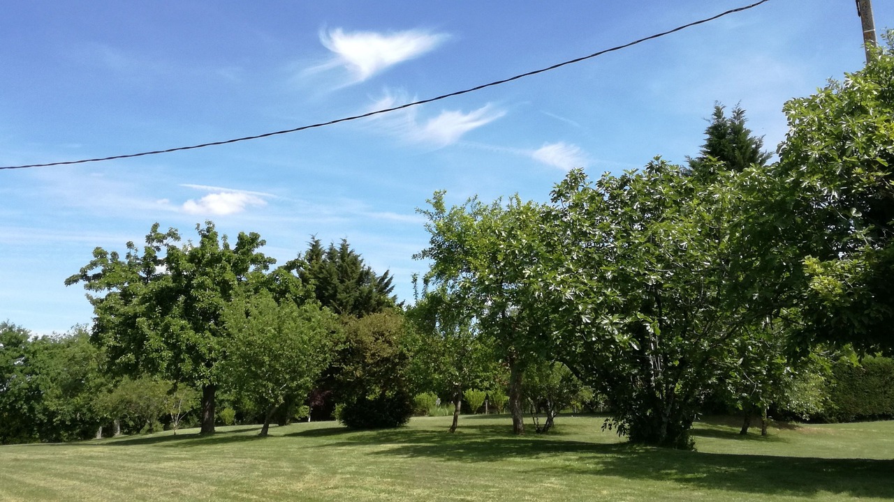 Photo of Others in Saint-Eutrope-de-Born