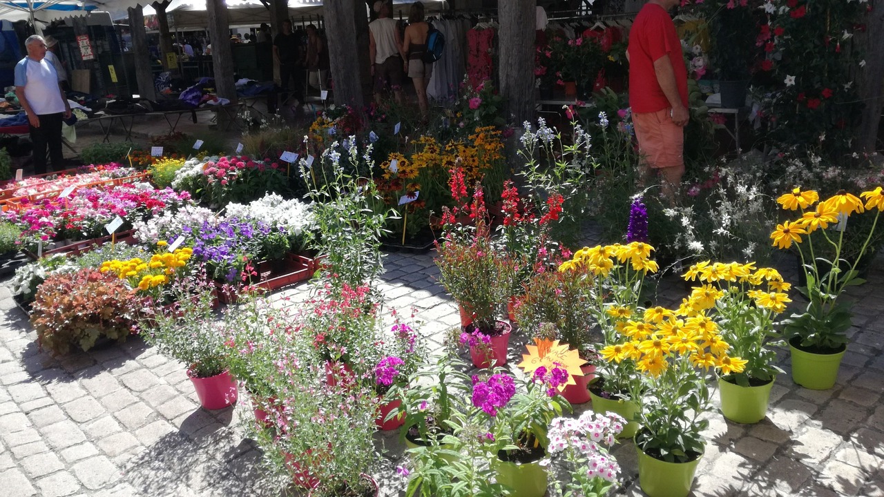 Photo of Outdoor in Saint-Eutrope-de-Born