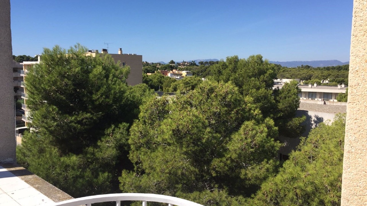 Photo of Outdoor in El Ligallo del Ganguil