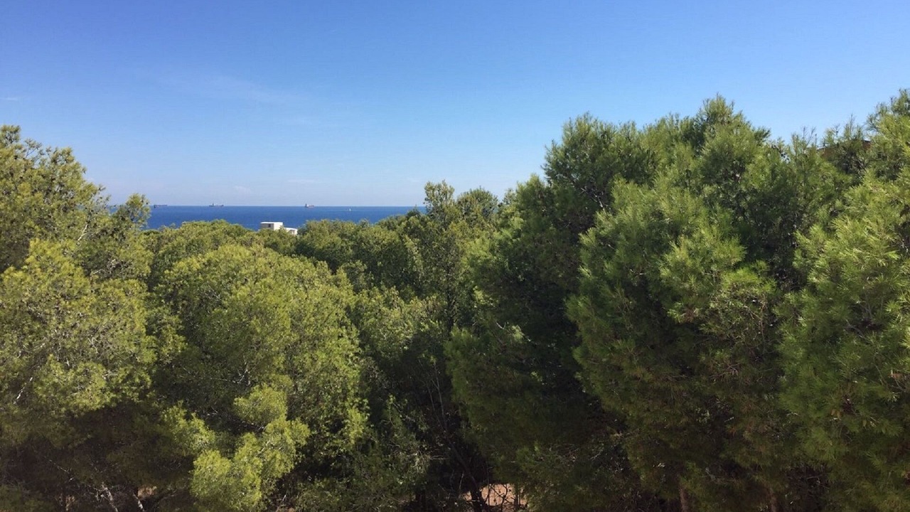 Photo of Outdoor in El Ligallo del Ganguil
