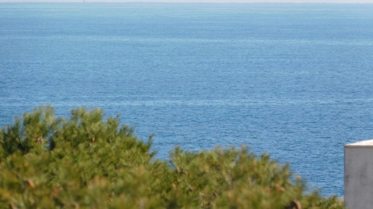 Photo of Outdoor in El Ligallo del Ganguil