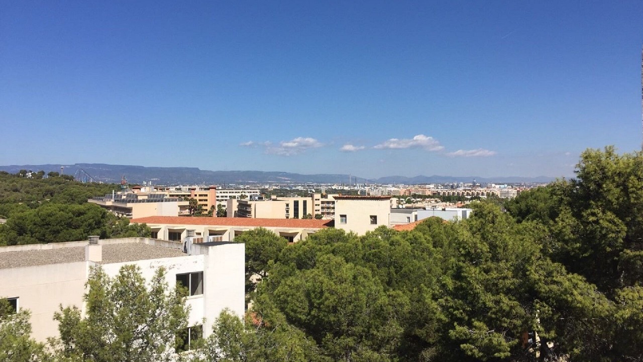 Photo of Outdoor in El Ligallo del Ganguil
