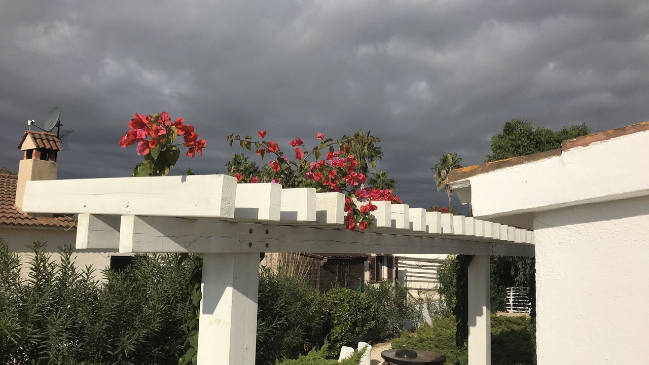 Photo of Outdoor in L'Eucaliptus