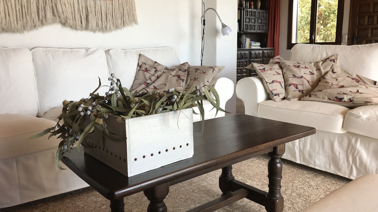 Photo of Livingroom in L'Eucaliptus