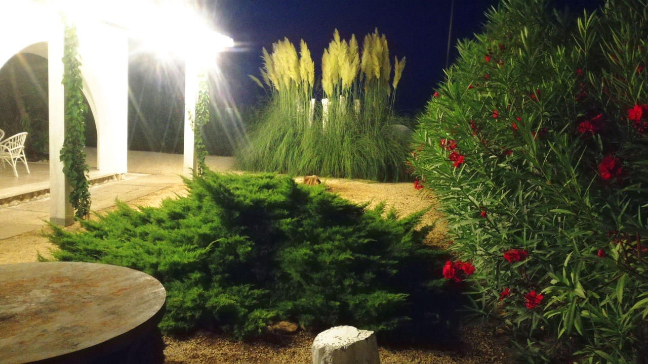 Photo of Outdoor in L'Eucaliptus