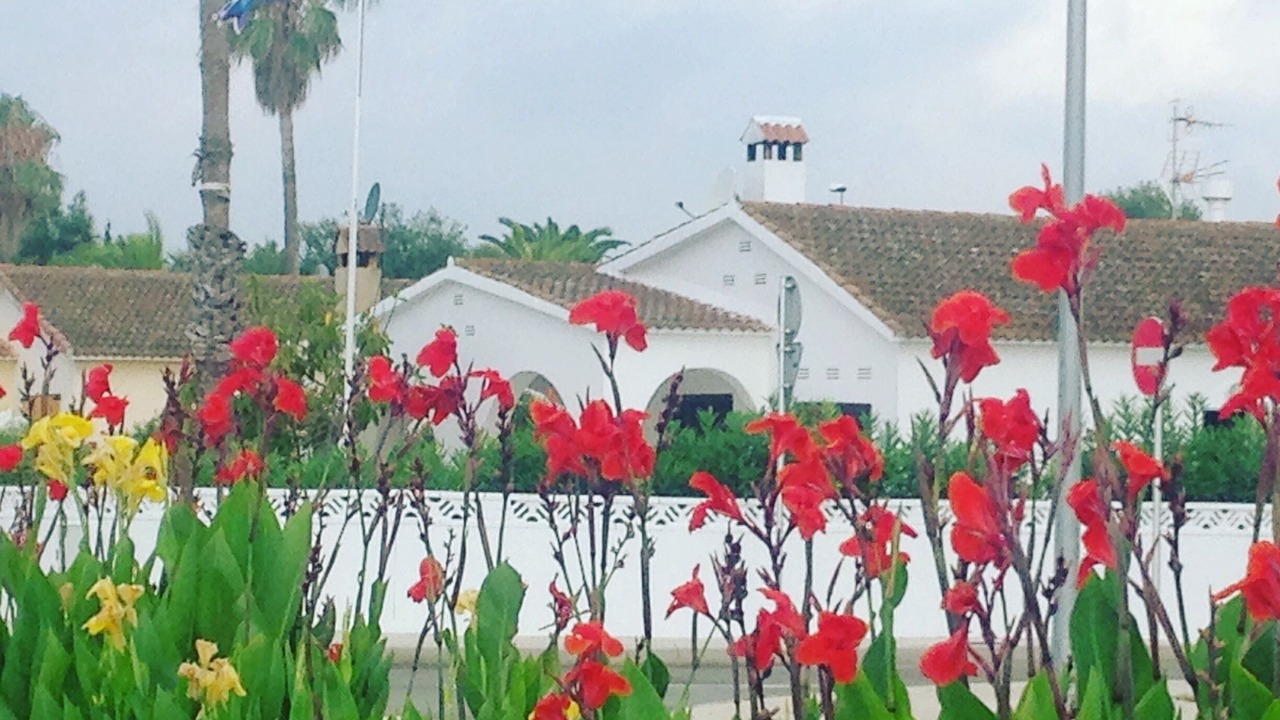Photo of Outdoor in L'Eucaliptus