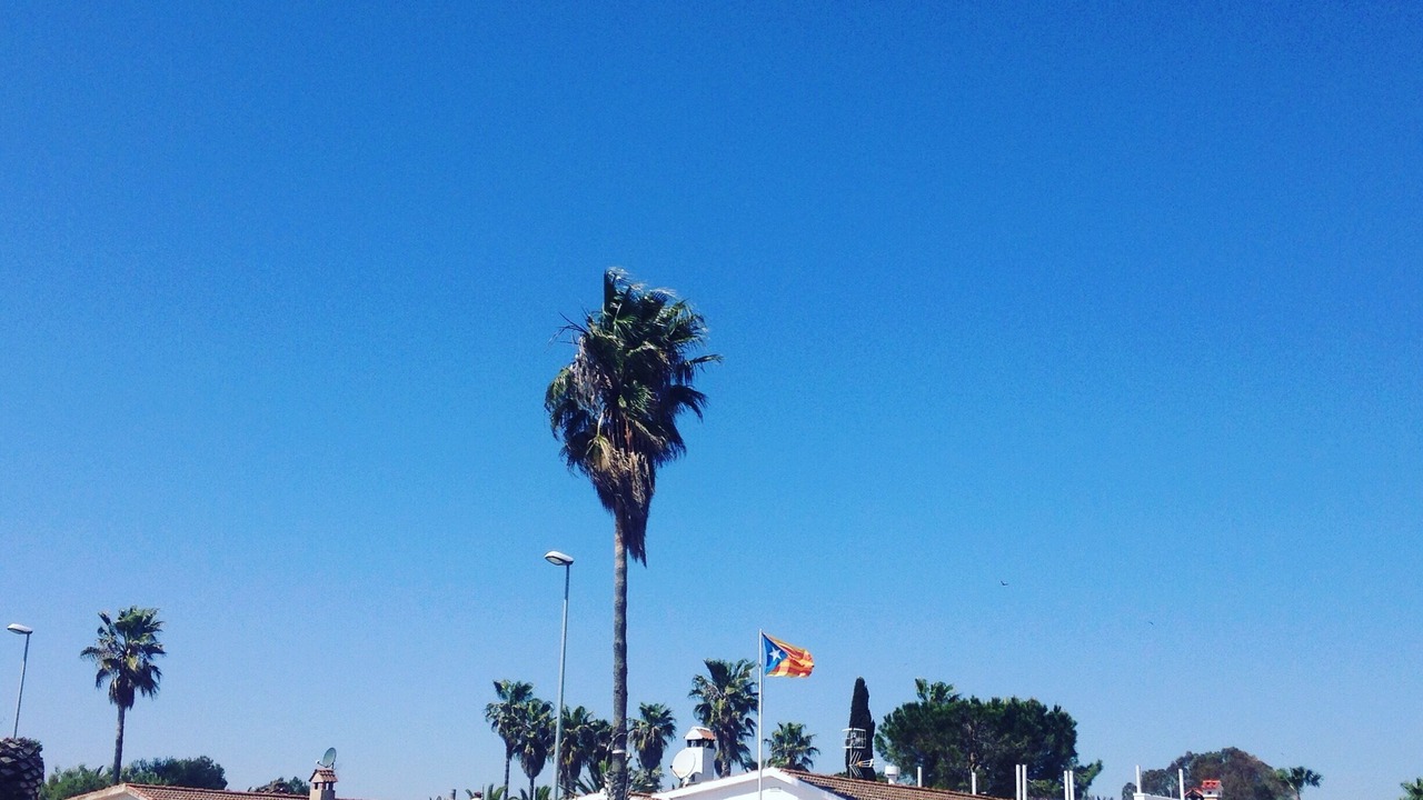 Photo of Outdoor in L'Eucaliptus