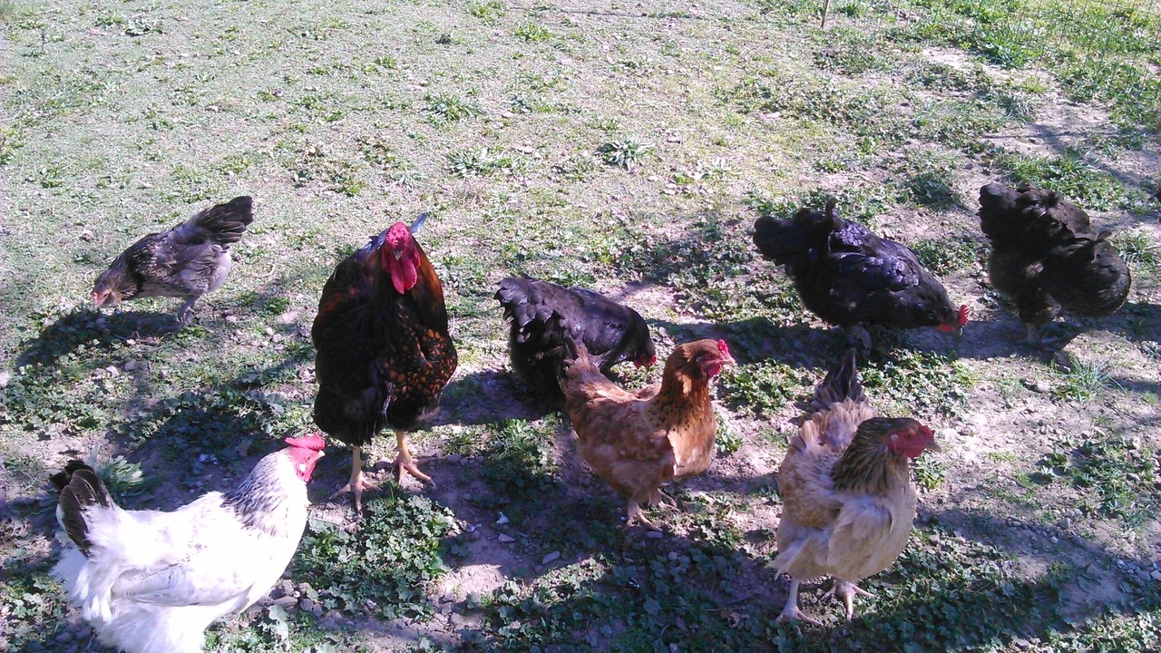 Photo of Outdoor in Laurens