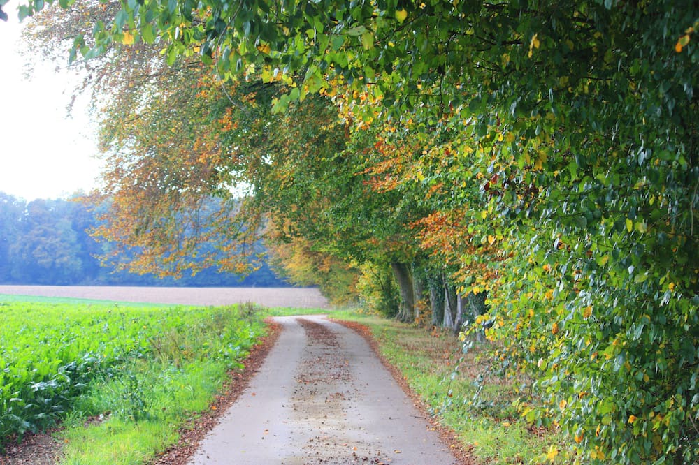 Photo of Outdoor in Touffreville-la-Corbeline