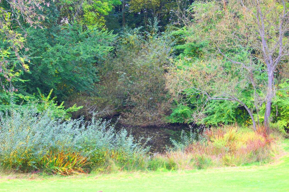 Photo of Outdoor in Touffreville-la-Corbeline