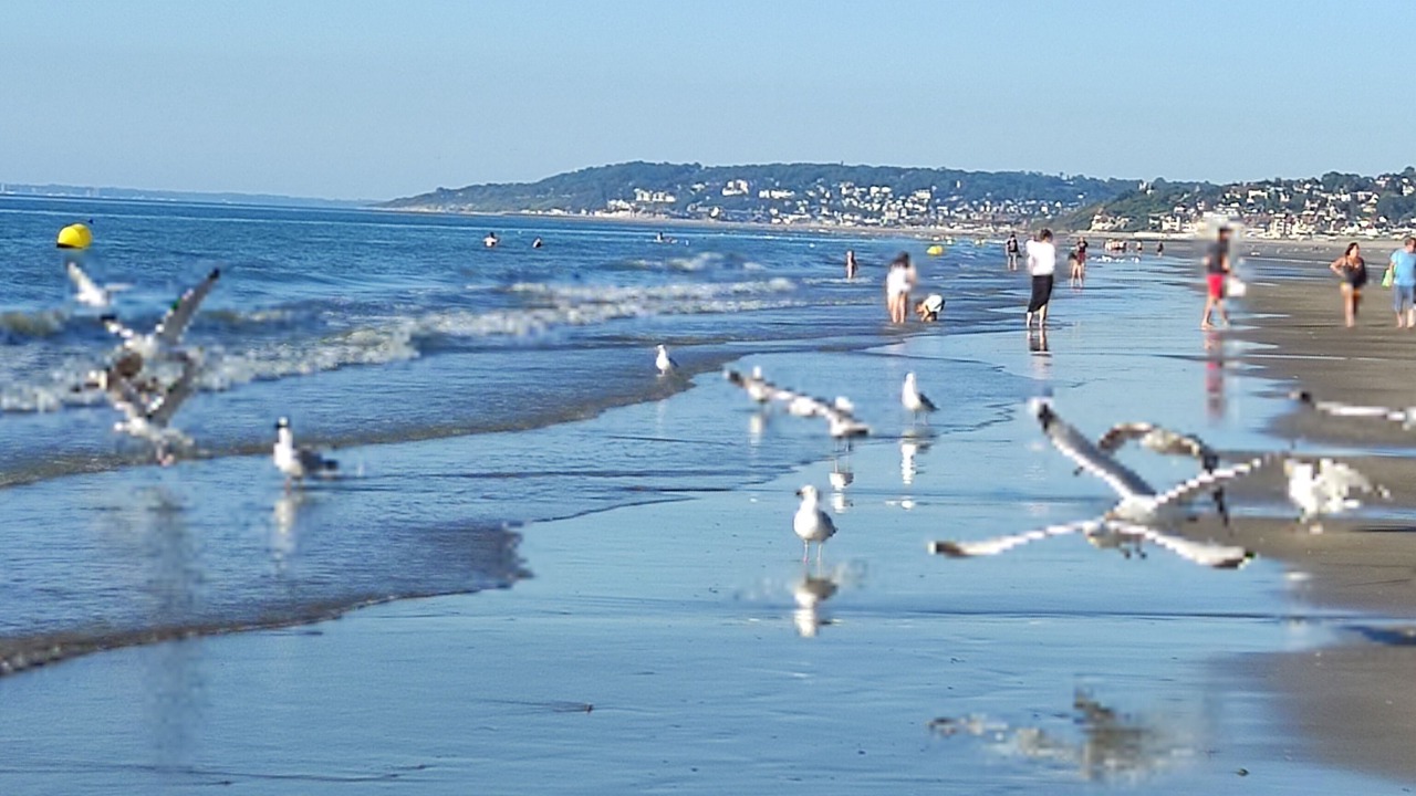 Photo of Others in Villers-sur-Mer